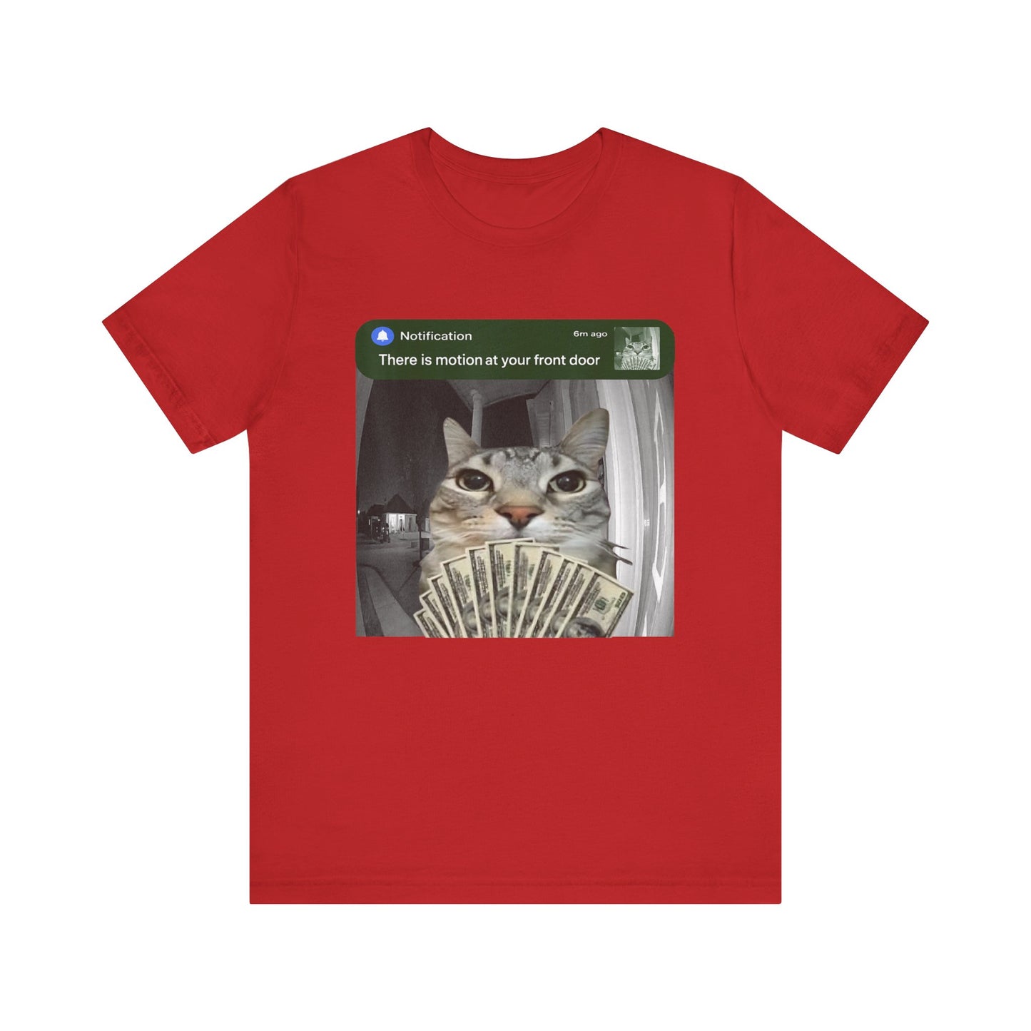 Cat Security Camera Meme T-Shirt