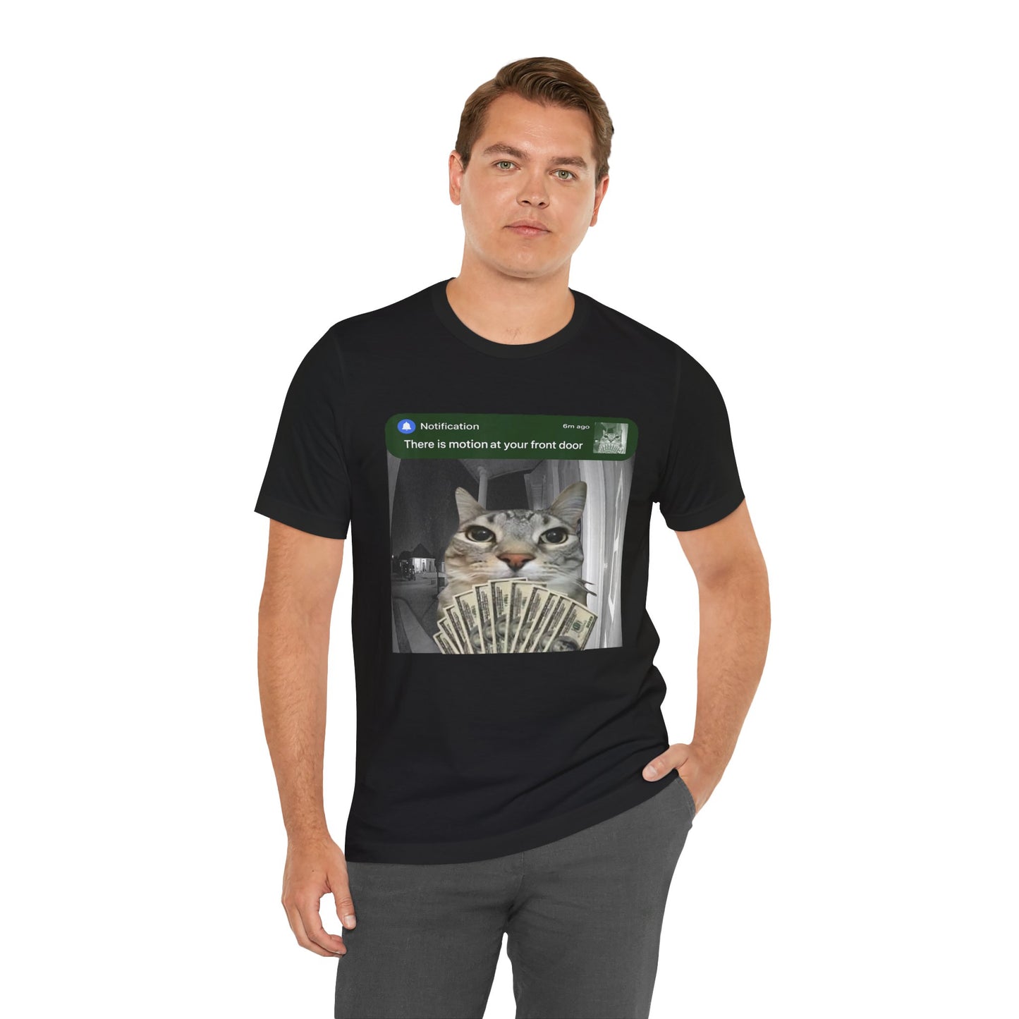 Cat Security Camera Meme T-Shirt