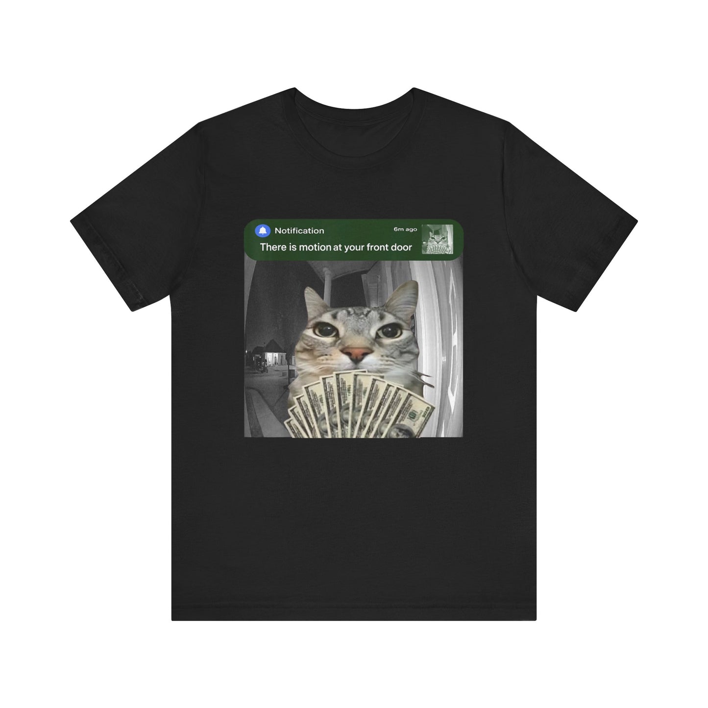 Cat Security Camera Meme T-Shirt