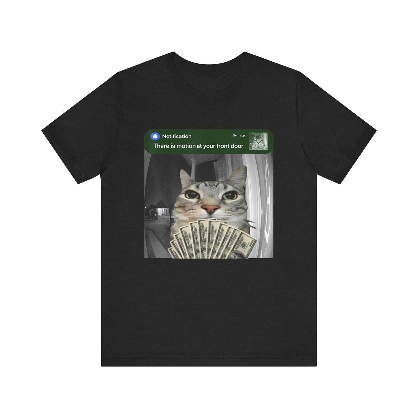 Cat Security Camera Meme T-Shirt
