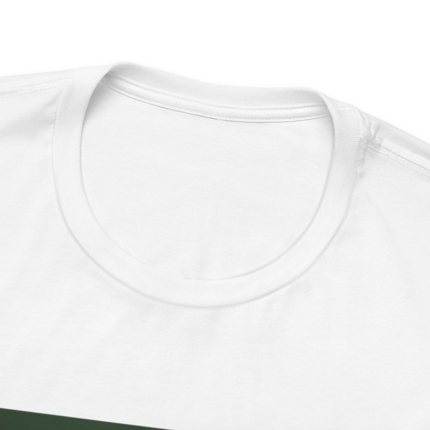 Cat Security Camera Meme T-Shirt